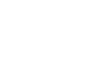 Adani Realty